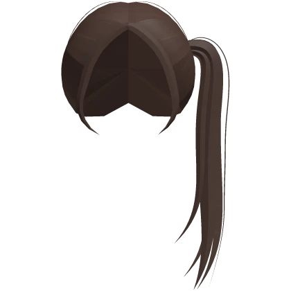 ʚ cute long side ponytail in brown