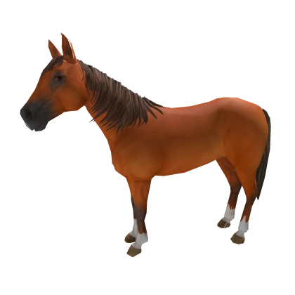 Huge Horse 🐎 Cute Animal Walking In Back