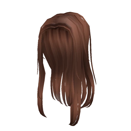 Silky Brown Straight Styled Hair