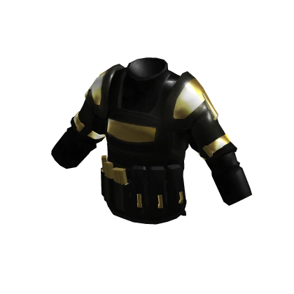 Golden LE Tactical Body Armor