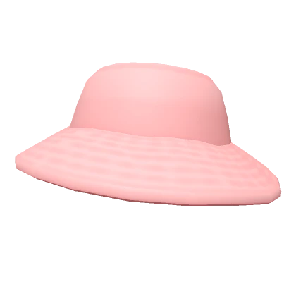 Pastel Pink Trendy Hat