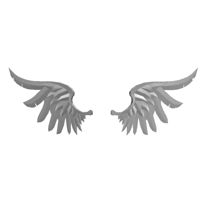 Silver Angel Wings