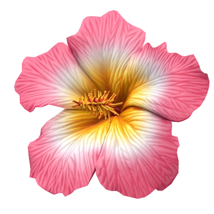 Left Summer Tropical Hibiscus Flower (Pink)