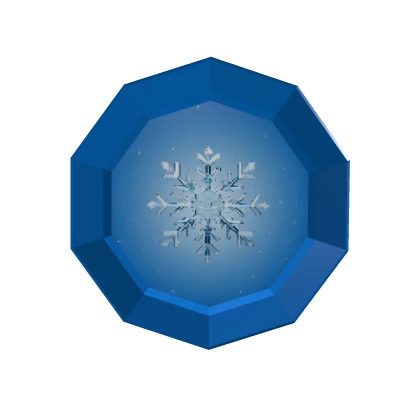 Winter Coin