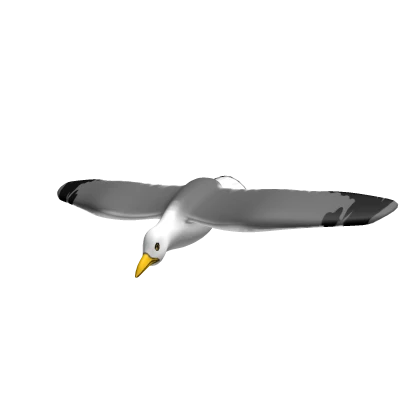 Flying Seagull [⌛]