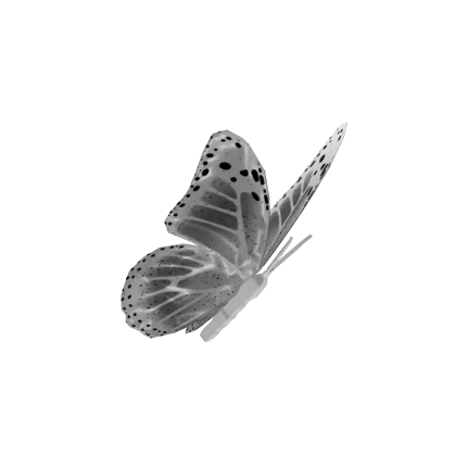 乱雑な; white butterfly add on