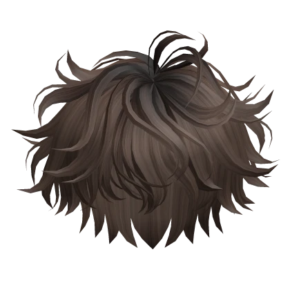 Brown Curly Hair