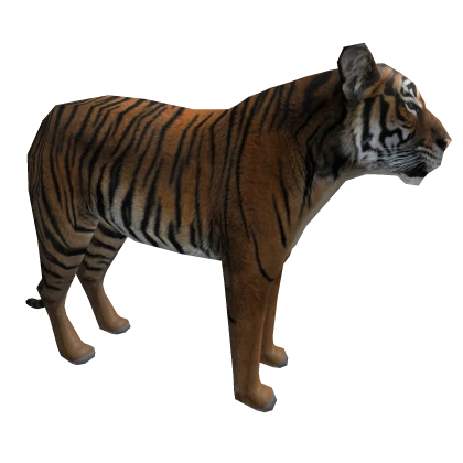 ✅ Tiger Cat