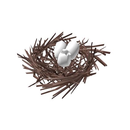 bird's nest with eggs