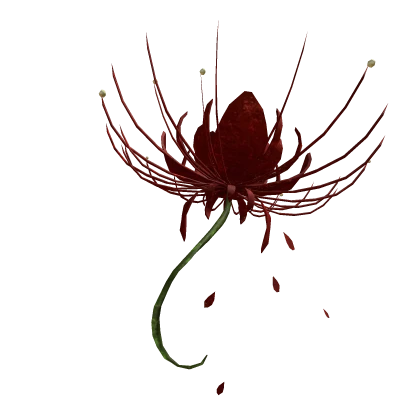 Red Spider Lily Parasol