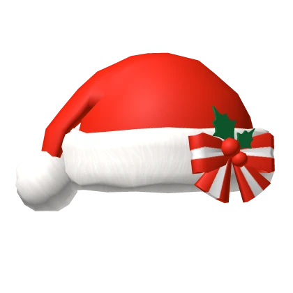 🍀Christmas Santa Hat