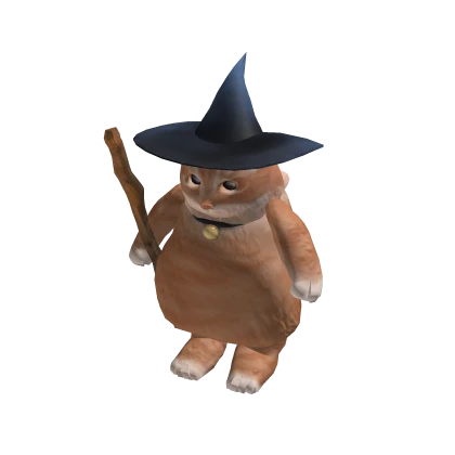 Wizard Cat Meme Suit