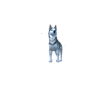 Realistic Siberian Husky