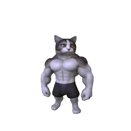 Cute Buff Kitten 🔥