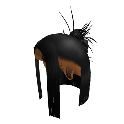 Half Up Half Down Hair [Black]