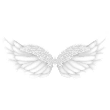 angel wings