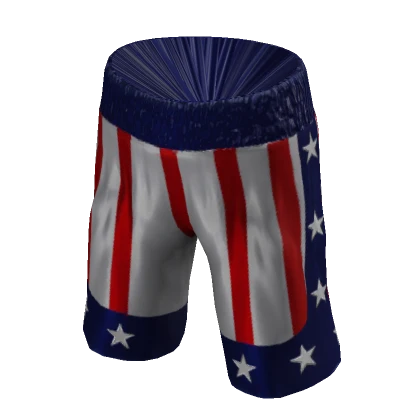 Boxing Shorts - USA