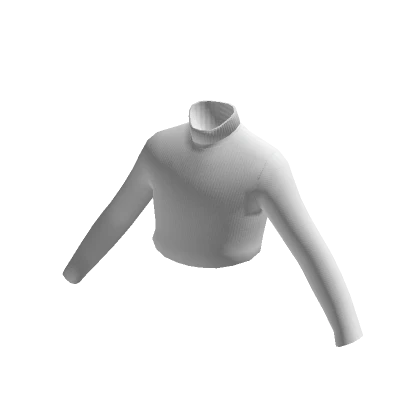 White Crop Top Turtleneck