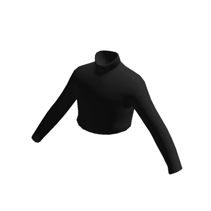 Black Crop Top Turtleneck