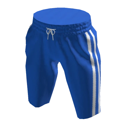 Sporty Shorts - Blue