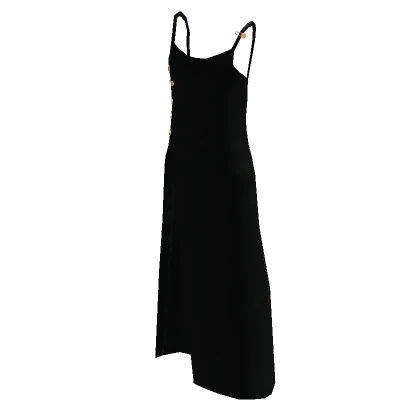 Black Fancy Gown with Golden Clips