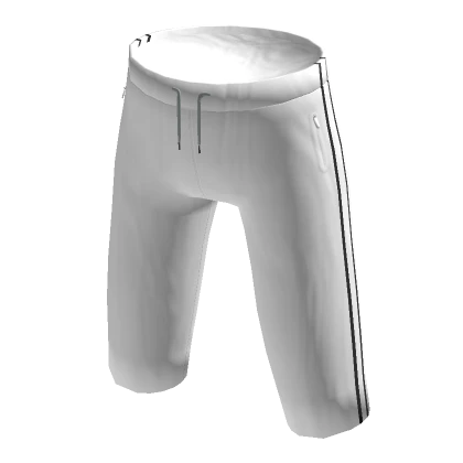 Two-Striped Sports Shorts (White)