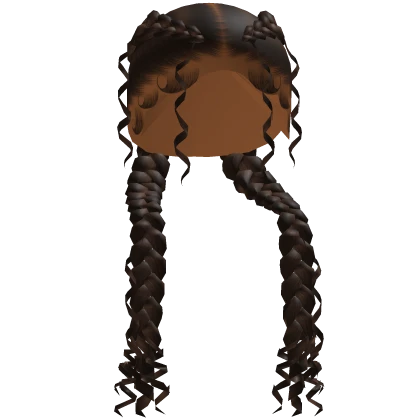 Double Curly Braids in Brown