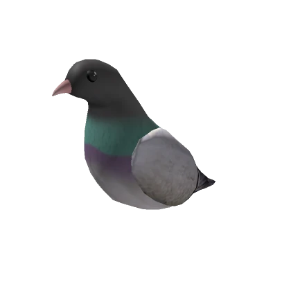 Vans Pigeon Shoulder Pet