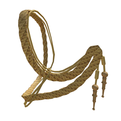 🚨 Gold Aiguillettes