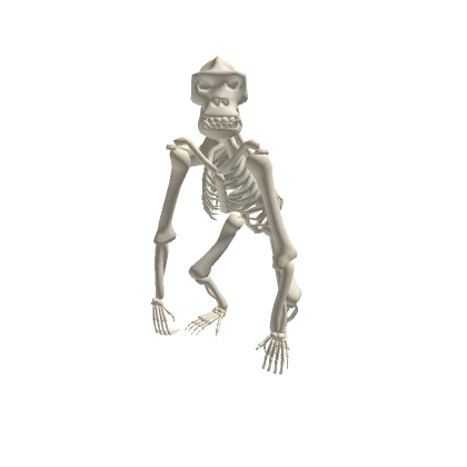 Ape skeleton