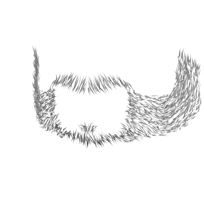 Gray Scruffy Stubble Beard