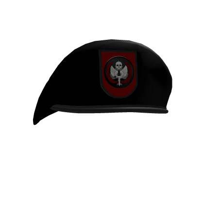 Task Force Beret