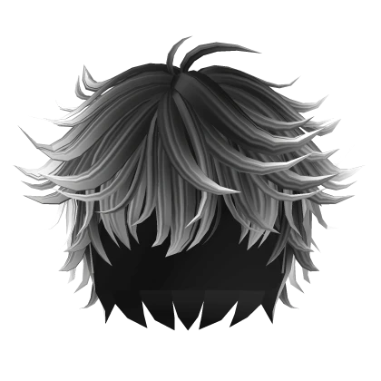 🍀Messy Anime Boy Hair (Black&White)