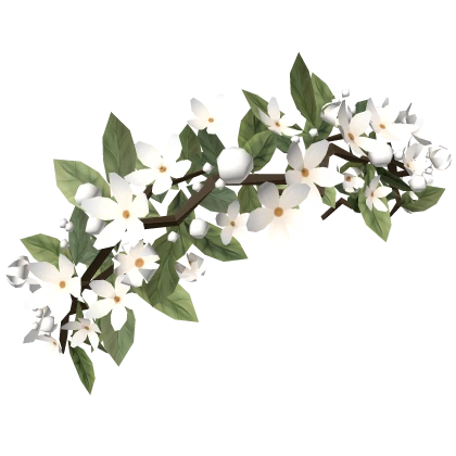 Dainty Victorian Flower Crown (White)