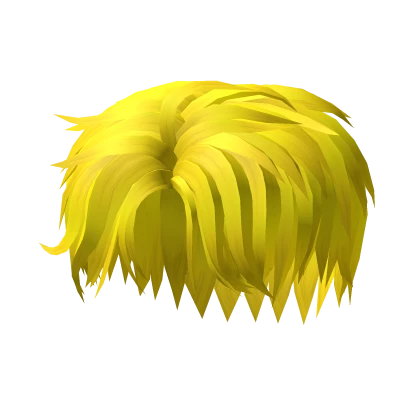 Cool Boy yellow Hair season 23