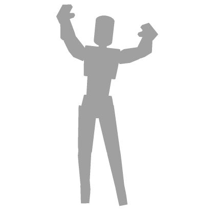 Disconnect Lag Fall Troll [CHEAP]