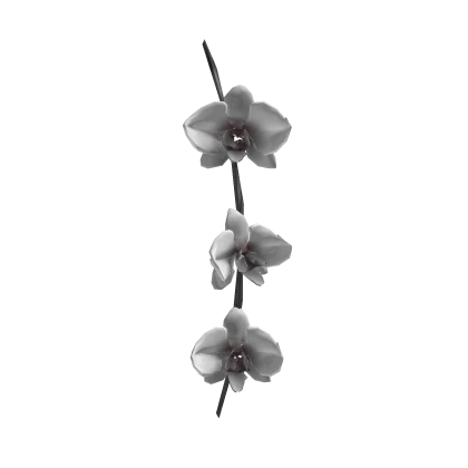 ♡ 兰花 b&w orchid branch in ur hair