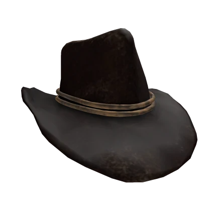 Aruthor Morgan's Hat (RDR2)