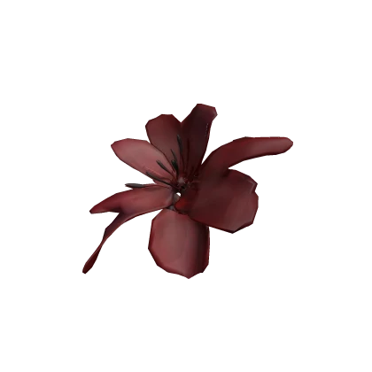  red lily 红百合♡