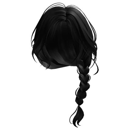 Braided Ponytail Black Hair