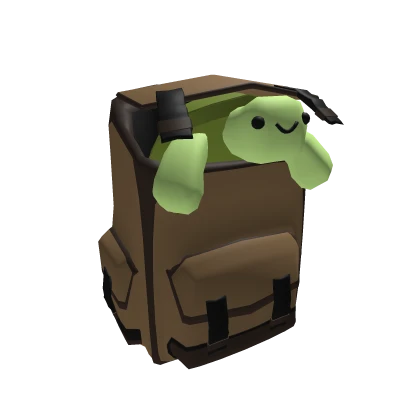 Turtle's Backpack
