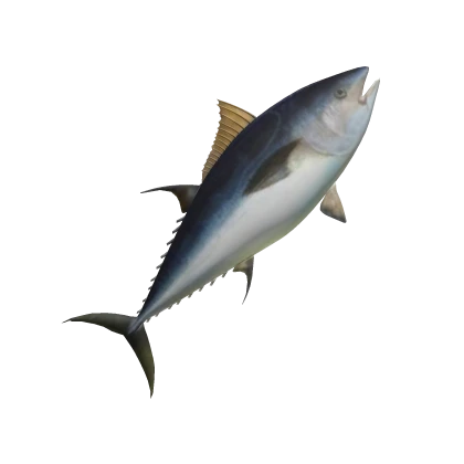 BIGGEST FISH (VERY BIG)