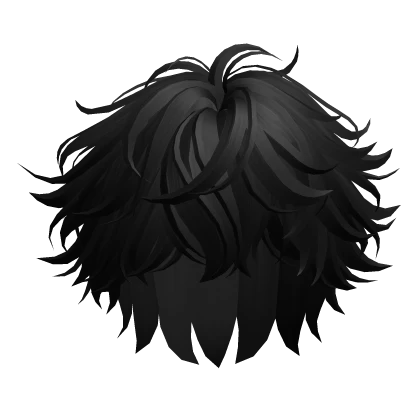Black Messy Fluffy Anime Boy Hair