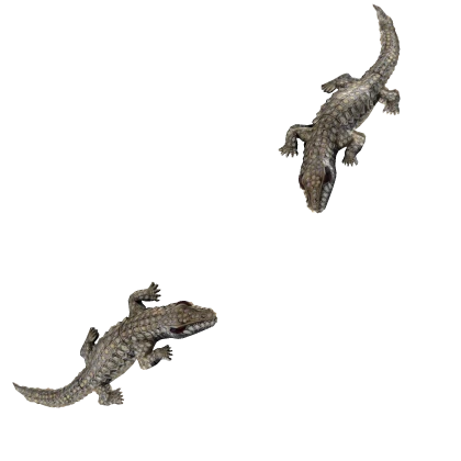 Lana Del Rey Iconic Crystal Crocodile Hair Clips 