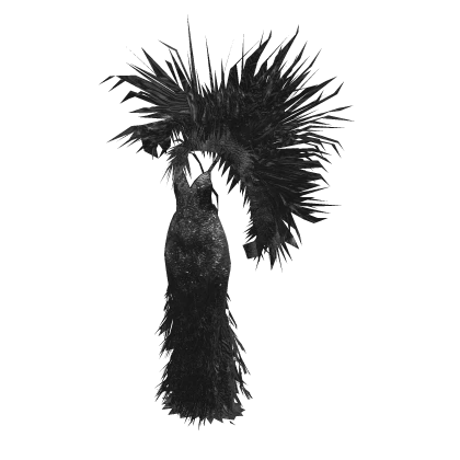 ʚ♡ɞ Black Met Gala Couture Feather Dress