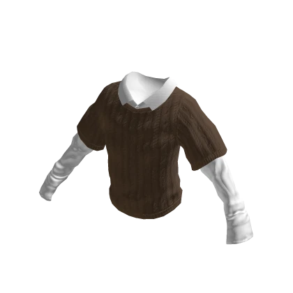 Brown Knitted Sweater with White Full Sleeve