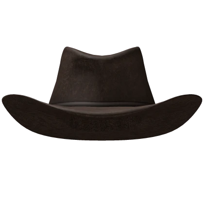Slick Brown Cowboy Hat