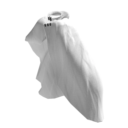 Long White Cloak 