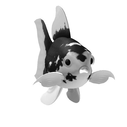 Black/White Goldfish