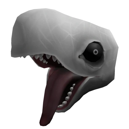 Pallid Whale